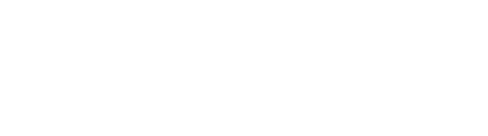 BrainX